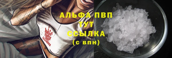 мяу мяу кристалл Богданович