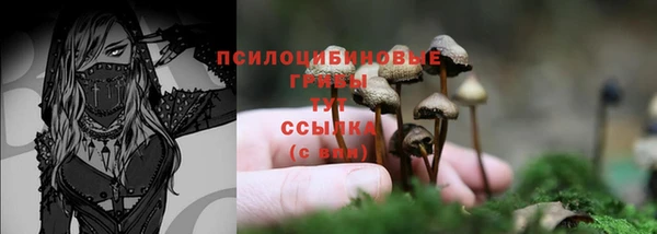 мяу мяу кристалл Богданович