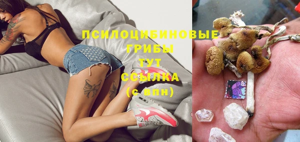 гашик Богородицк