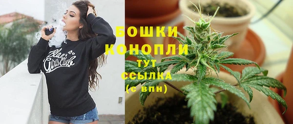 гашик Богородицк