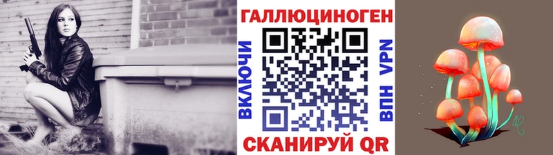 закладки  Краснознаменск  Галлюциногенные грибы Cubensis 
